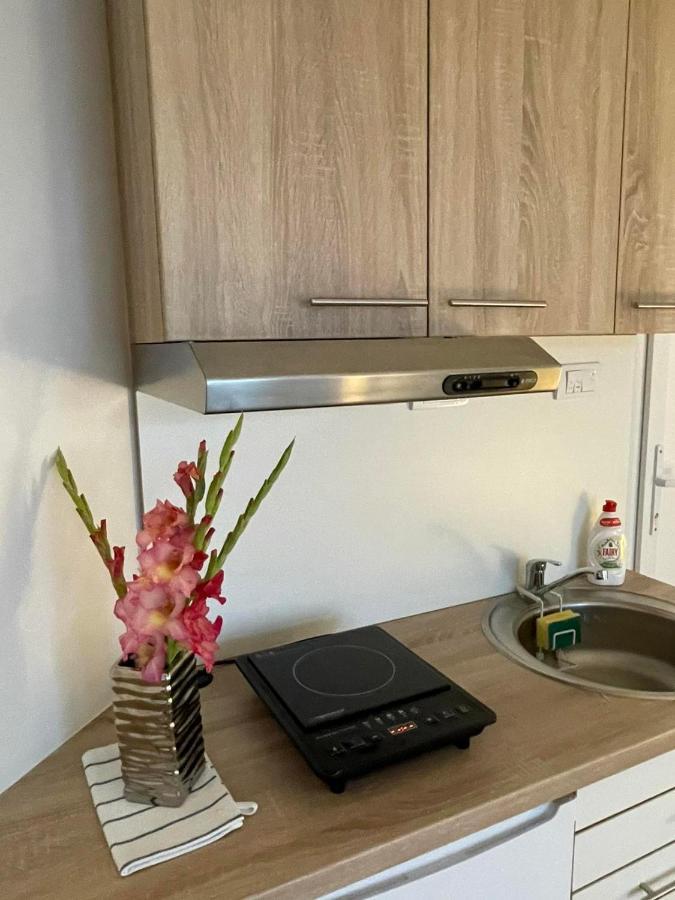 Apartman Dunav クラドヴォ エクステリア 写真